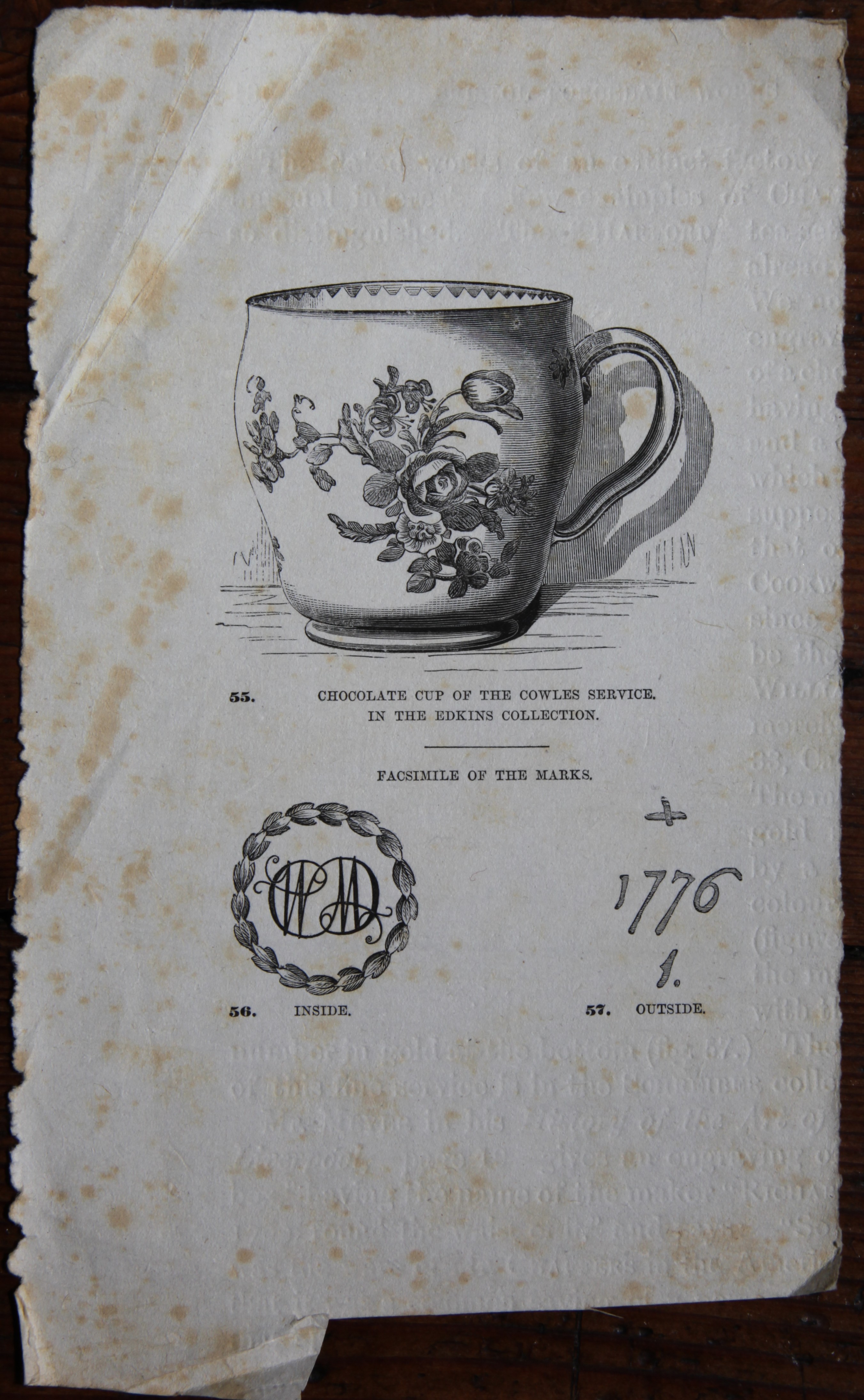 An old cutting from Owen with a William Cowles cup