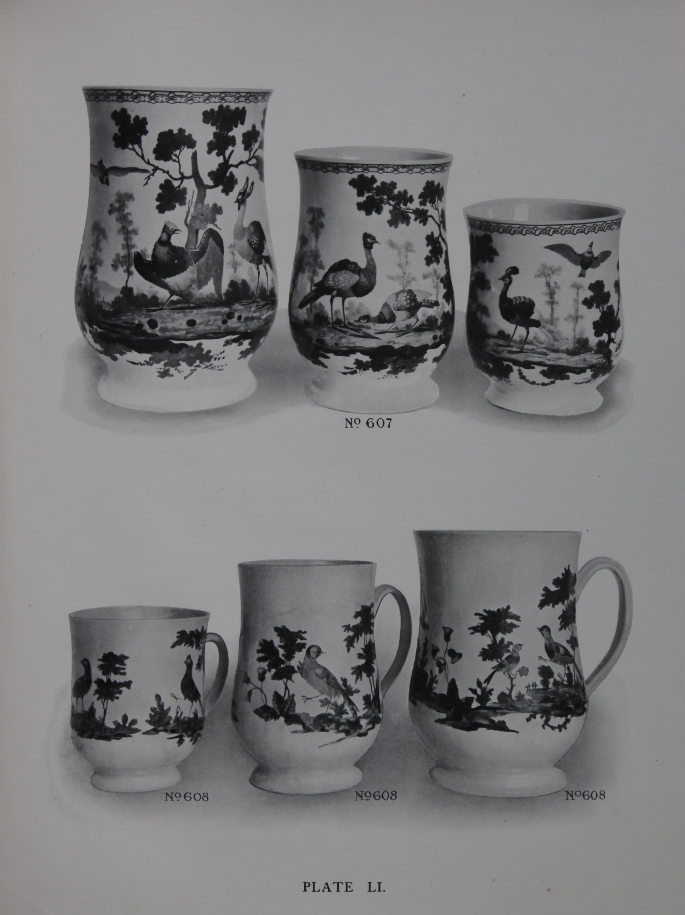 Mugs with Michel Soquet's exotic birds - from the Trapnell collection