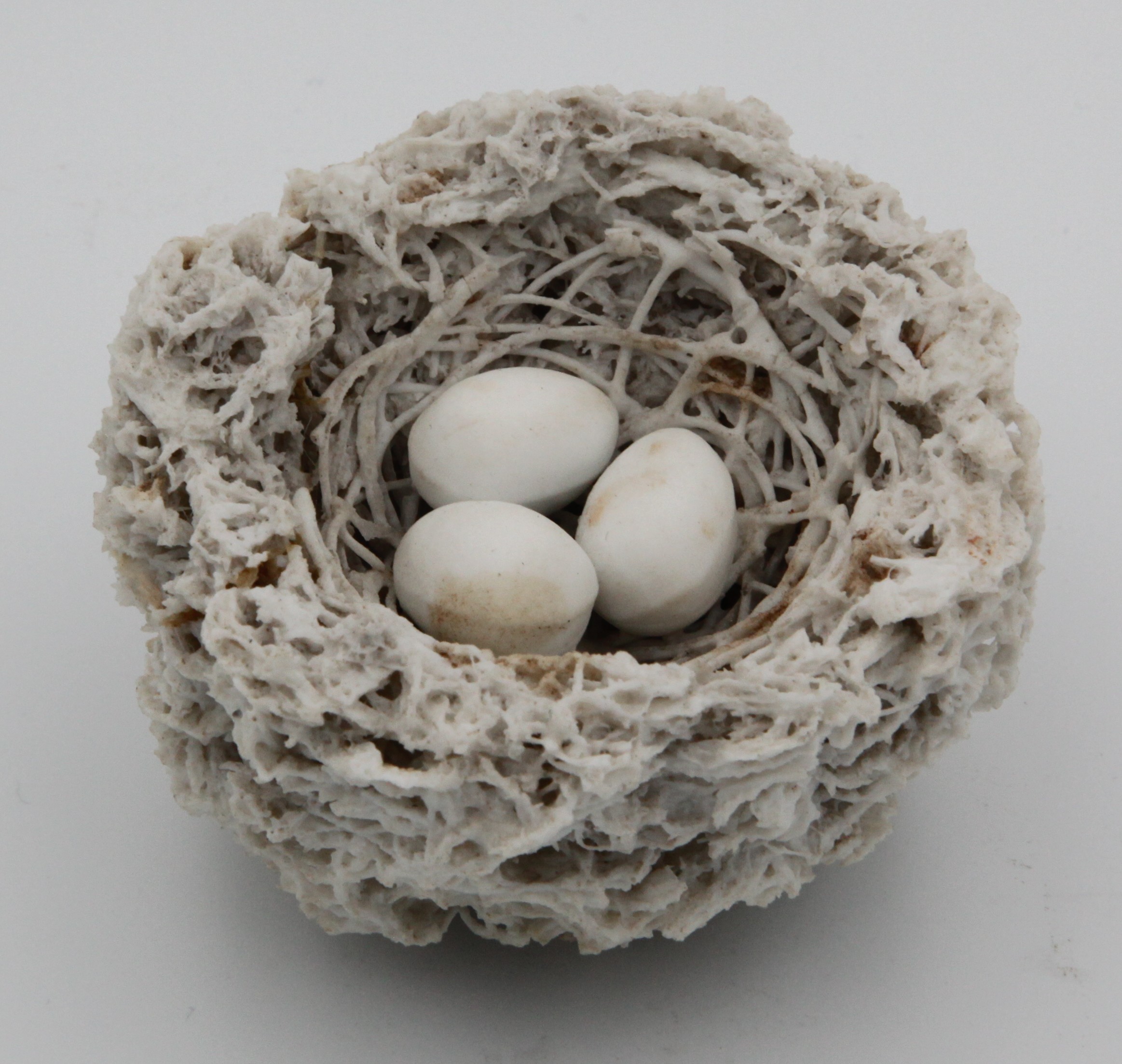 A rare Bristol biscuit porcelain bird's nest, containing three eggs, 3” diameter, circa 1773-6. See F S Mackenna, Plymouth and Bristol Porcelain, page 138, number 94, for another example, from the H W Hughes Collection. Condition: perfect