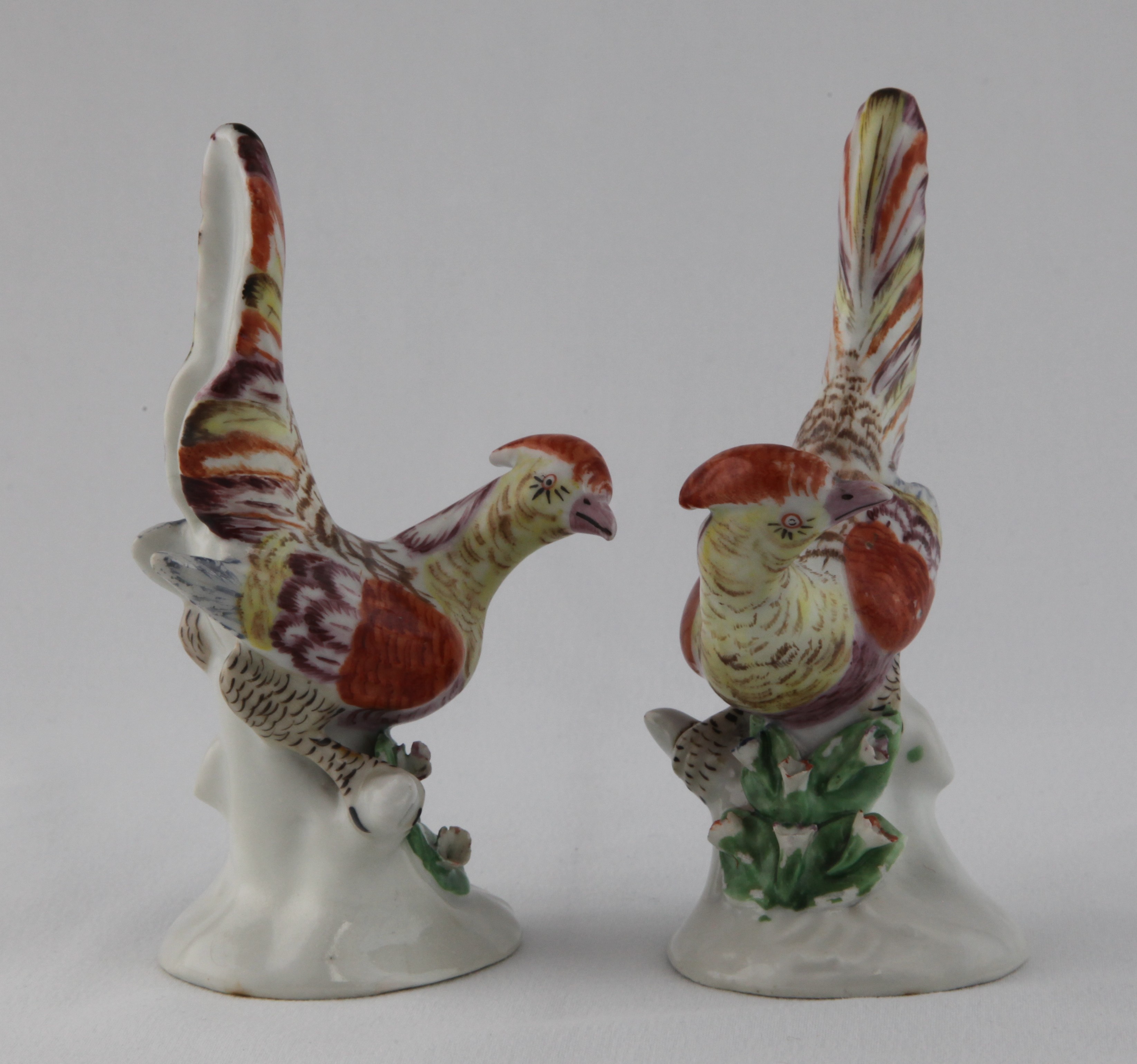 A fine pair of Plymouth pheasants